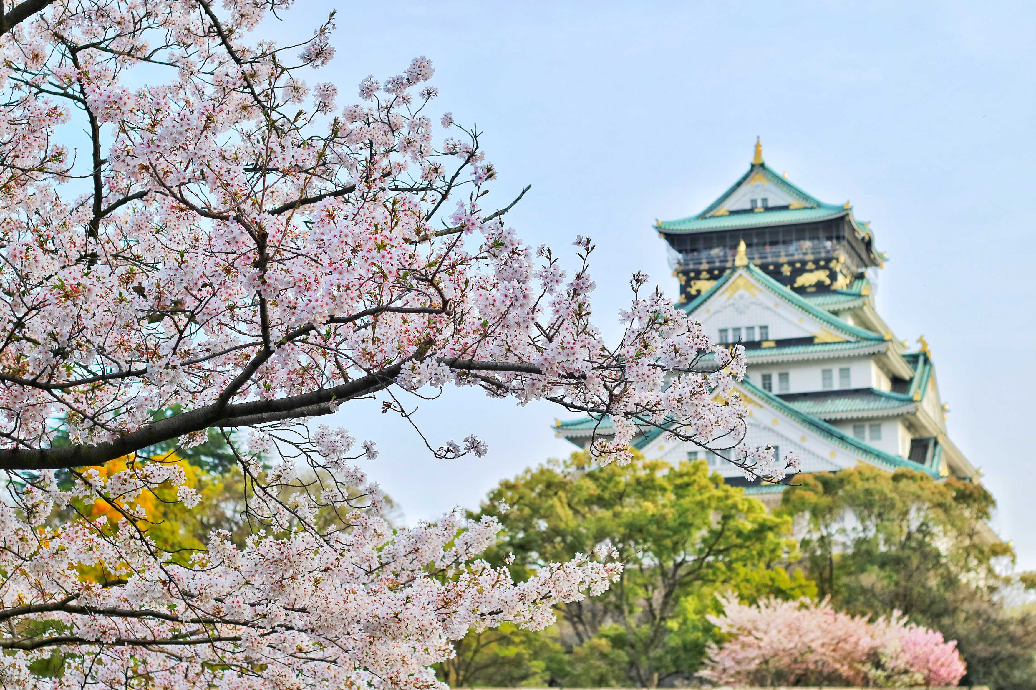 일본 거주를 위한 일본 주소 등록 방법과 건강보험 가입 방법